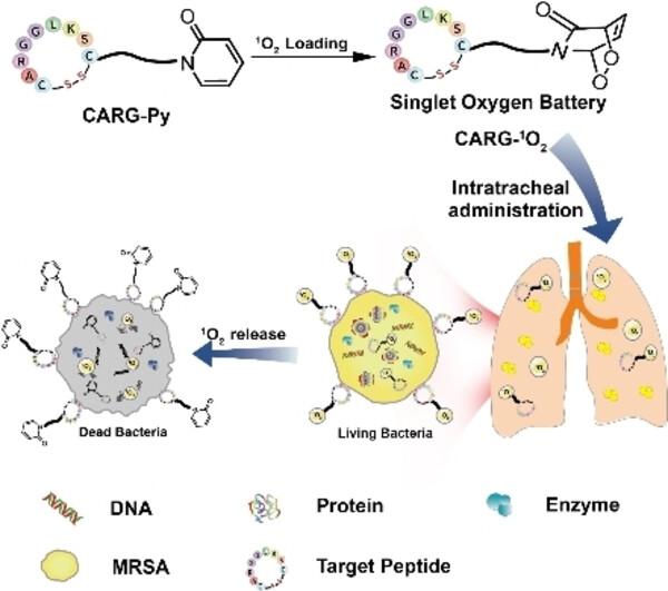 A Targeting Singlet Oxygen Battery for Multidrug-Resistant Bacterial Deep-Tissue Infections