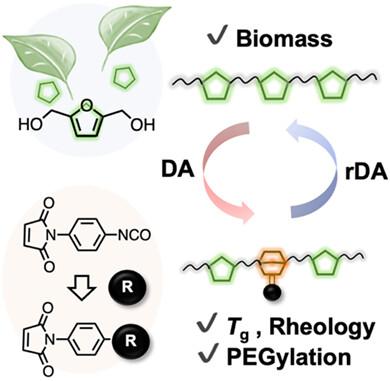 Maleimidophenyl isocyanates adducts as versatile post-polymerization modification agents for biobased furan polymers