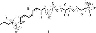 A monoacylglyceryltrimethylhomoserine, 21F121-A, containing a branched acyl group from Penicillium glaucoroseum