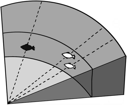 Observing fish interactions with marine energy turbines using acoustic cameras