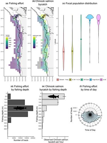 Warm oceans exacerbate Chinook salmon bycatch in the Pacific hake fishery driven by thermal and diel depth-use behaviours