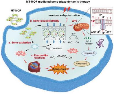 Bimetallic Organic Frameworks of High Piezovoltage for Sono-Piezo Dynamic Therapy