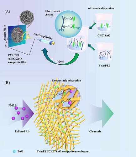 Preparation of PVA/PEI/CNC/ZnO composite membrane with good mechanical properties and water resistance by electrostatic spinning using for efficient filtration of PM2.5