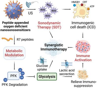 Peptide-Appended Nanosonosensitizers Targeting Tumor Glycolysis for Synergistic Sonodynamic–Immunometabolic Therapy of Spinal-Metastasized Tumors