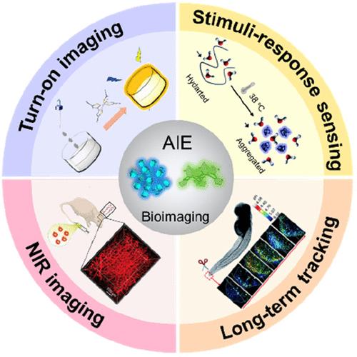 The Bioimaging Story of AIEgens