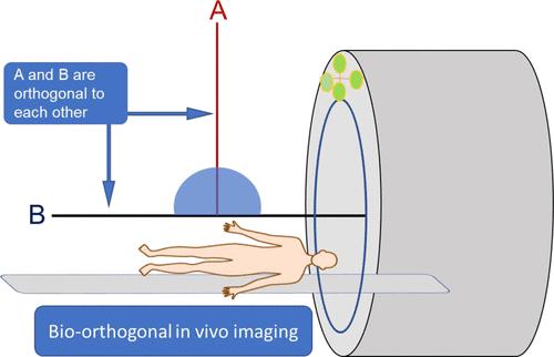 The Application of Bio-orthogonality for In Vivo Animal Imaging