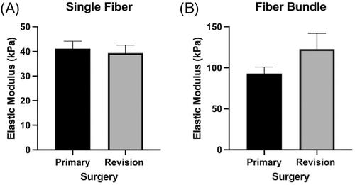 The effect of fatty infiltration, revision surgery, and sex on lumbar multifidus passive mechanical properties