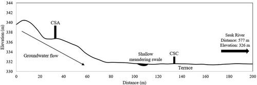 Carbon dioxide emissions in relation to water table in a restored fen