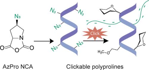 Clickable Polyprolines from Azido-proline N-Carboxyanhydride