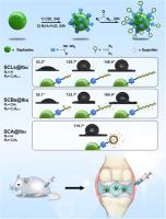 High drug loading hydrophobic cross-linked dextran microspheres as novel drug delivery systems for the treatment of osteoarthritis