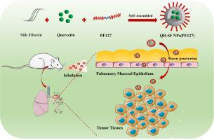 Pulmonary delivery of mucus-traversing PF127-modified silk fibroin nanoparticles loading with quercetin for lung cancer therapy