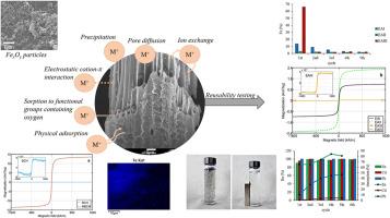 Regeneration possibilities and application of magnetically modified biochar for heavy metals elimination in real conditions