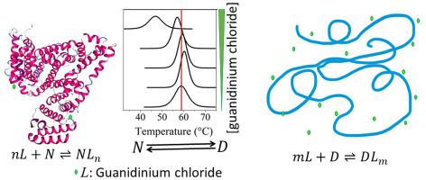 The effect of denaturants on protein thermal stability analyzed through a theoretical model considering multiple binding sites