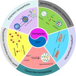 Nanoparticle-mediated synergistic anticancer effect of ferroptosis and photodynamic therapy: Novel insights and perspectives