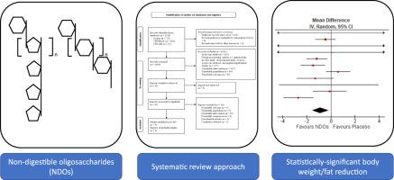 Effect of non-digestible oligosaccharides on body weight in overweight and obese adults: A systematic review and meta-analysis of randomised controlled trials