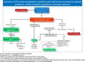 Primary prevention of cancer-associated venous thrombosis: Rationale and challenges in clinical practice