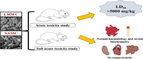 Acute and subacute in vivo safety assessment of developed chitosan derivatives for food applications