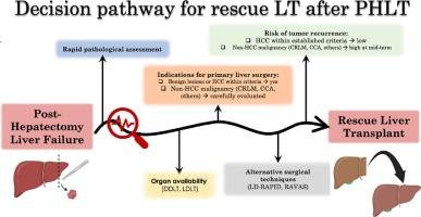 Rescue liver transplantation after post-hepatectomy acute liver failure: A systematic review and pooled analysis