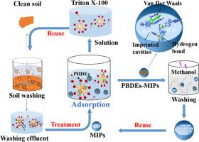 Efficient removal of polybrominated diphenyl ethers from soil washing effluent by dummy molecular imprinted adsorbents: Selectivity and mechanisms