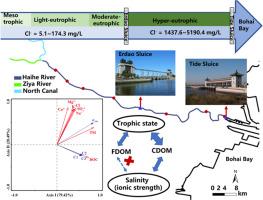 Spatiotemporal optical properties of dissolved organic matter in a sluice-controlled coastal plain river with both salinity and trophic gradients