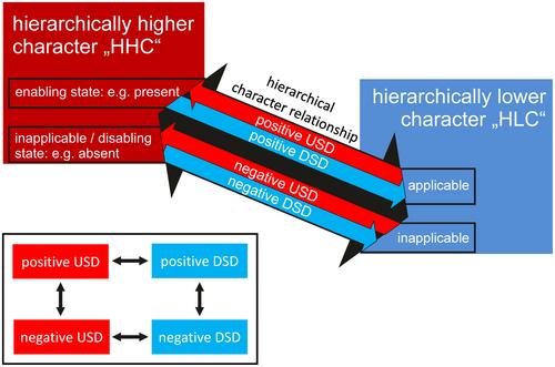 On the four complementary aspects of hierarchical character relationships and their bearing on scoring constraints, expressed in a new syntax for character dependencies