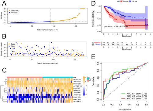 Comprehensive analysis of anoikis-related lncRNAs for predicting prognosis and response of immunotherapy in hepatocellular carcinoma