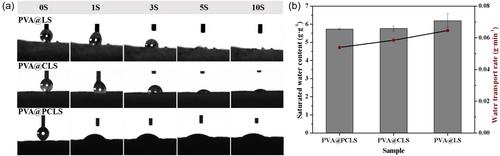 Biochar-based interfacial evaporation materials derived from lignosulfonate for efficient desalination