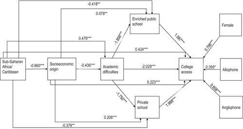 Pathways of Black immigrant youth in Québec from secondary school to university: Cumulative racial disadvantage and compensatory advantage of resilience