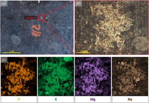 Reconstructing formation processes at the Canary Islands indigenous site of Belmaco Cave (La Palma, Spain) through a multiproxy geoarchaeological approach