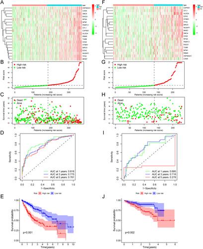 Single-cell RNA-seq and bulk RNA-seq explore the prognostic value of exhausted T cells in hepatocellular carcinoma