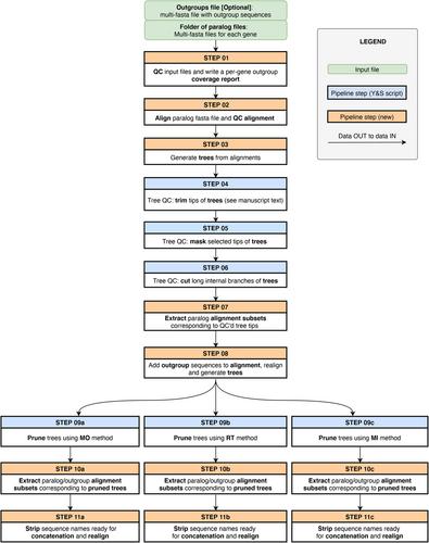 hybpiper-nf and paragone-nf: Containerization and additional options for target capture assembly and paralog resolution