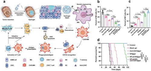 Biomaterials for in situ cell therapy