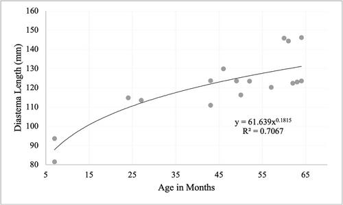 An osteometric analysis of elk (Cervus elaphus manitobensis) from Great Smoky Mountains National Park