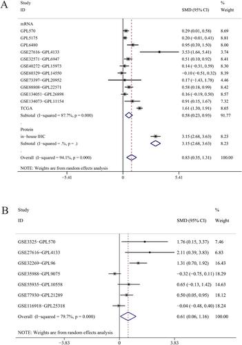 High expression of centromere protein A and its molecular mechanism and clinical significance in prostate cancer: A study based on data mining and immunohistochemistry