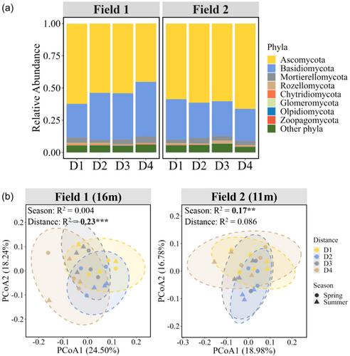 Impacts of shelterbelt systems on pasture production and soil bacterial and fungal communities in agricultural fields