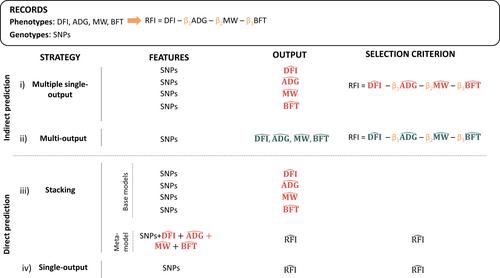 Impact of multi-output and stacking methods on feed efficiency prediction from genotype using machine learning algorithms