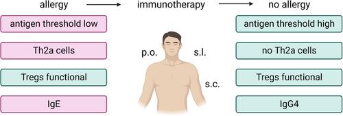 T-cell subsets in allergy and tolerance induction