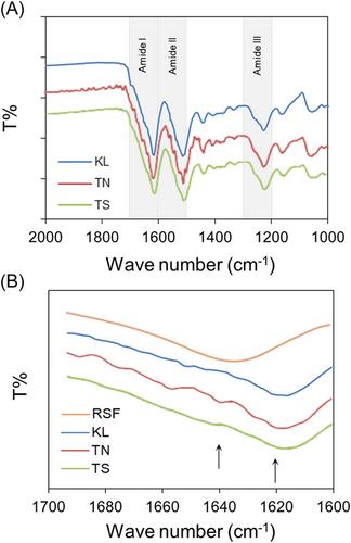 A study on source dependent batch to batch variations in silk fibroin films for potential applications in corneal tissue engineering