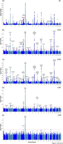 Genetic differences according to onset age and lung function in asthma: A cluster analysis