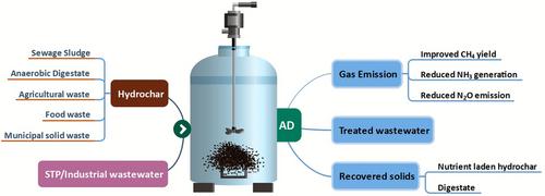 Sustainable resource recovery and process improvement in anaerobic digesters using hydrochar: A circular bio-economic perspective