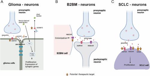 Crosstalk between cancer cells and the nervous system