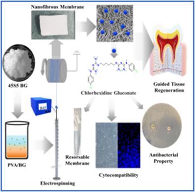 Fabrication and characterization of chlorhexidine gluconate loaded poly(vinyl alcohol)/45S5 nano-bioactive glass nanofibrous membrane for guided tissue regeneration applications