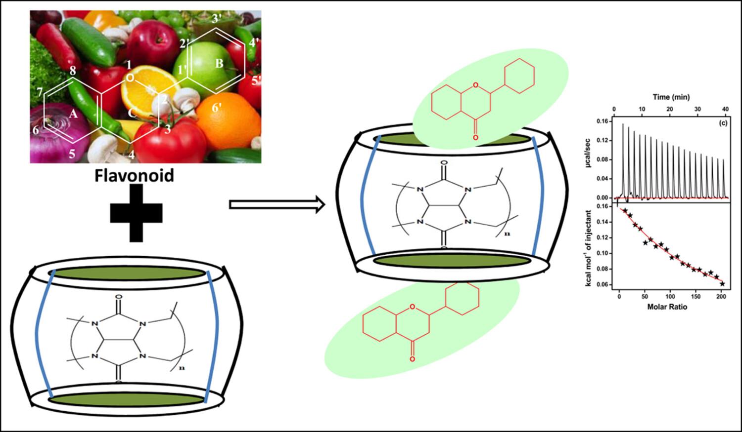 Effect of Cucurbit[7]uril on contrasting binding with flavonoids: Insights from spectroscopy and calorimetric studies