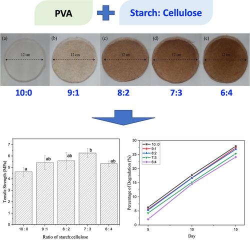 Influence of kepok banana bunch as new cellulose source on thermal, mechanical, and biodegradability properties of Thai cassava starch/polyvinyl alcohol hybrid-based bioplastic