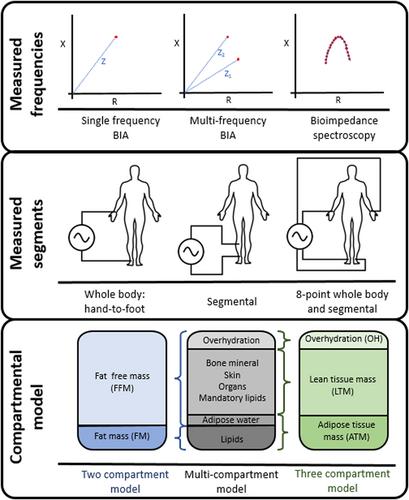 Bioimpedance analysis in patients with chronic kidney disease