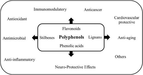 The role of dietary polyphenols in the control of chronic noncommunicable diseases