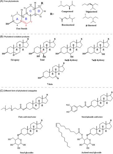 Guidelines for extraction and quantitative analysis of phytosterols and oxidation products