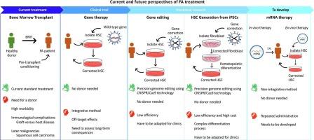 Beyond current treatment of Fanconi Anemia: What do advances in cell and gene-based approaches offer?