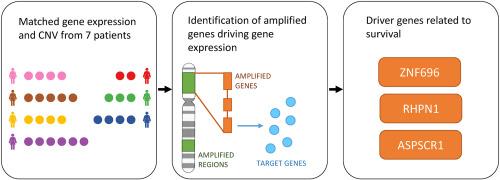 Modulation of gene expression associated with copy number variation identifies key regulatory programs in high-grade serous ovarian carcinoma