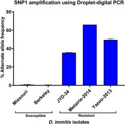 Droplet digital PCR as a tool to detect resistant isolates of Dirofilaria immitis